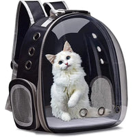 Transparent pet carrier backpack